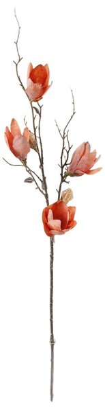 Tulipánfa 2 ágú narancs