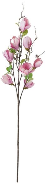 Liliomfa ág pink