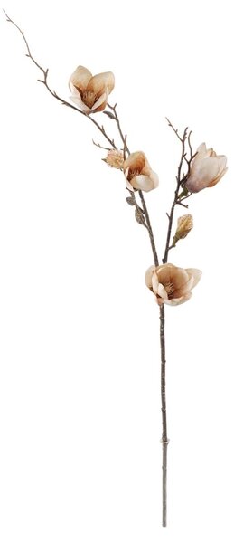 Tulipánfa 2 ágú fehér