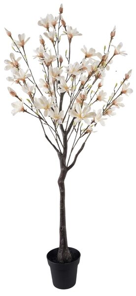 Liliomfa