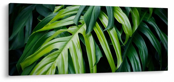 Kép - trópusi levelek (120x50 cm)