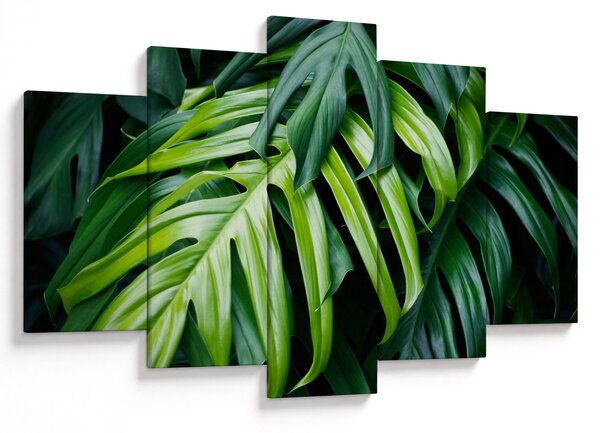 Kép - trópusi levelek (150x105 cm)