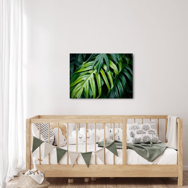 Kép - trópusi levelek (70x50 cm)