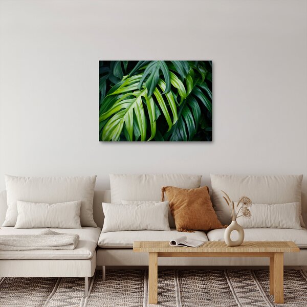 Kép - trópusi levelek (70x50 cm)