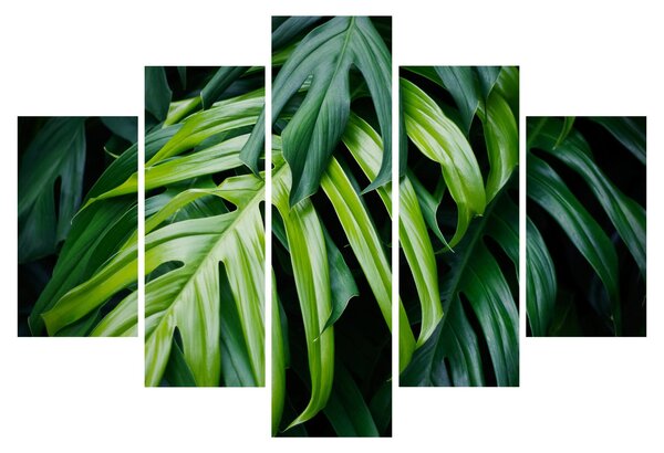 Kép - trópusi levelek (150x105 cm)