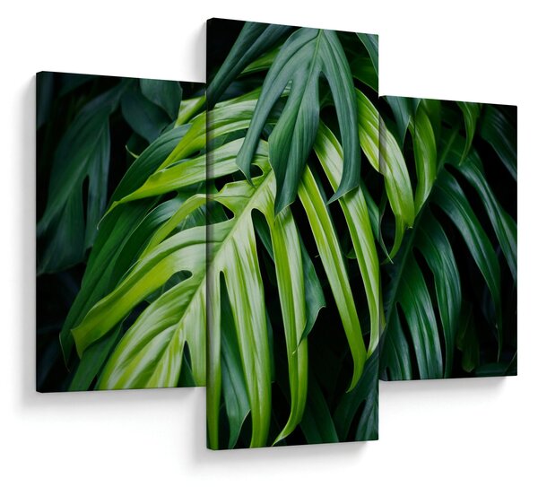 Kép - trópusi levelek (90x60 cm)