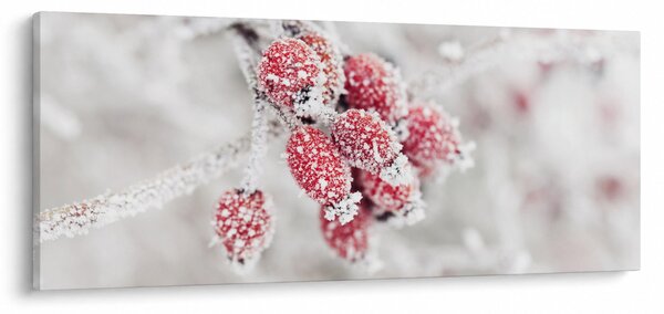 Kép - Fagyasztott gyümölcsök (120x50 cm)