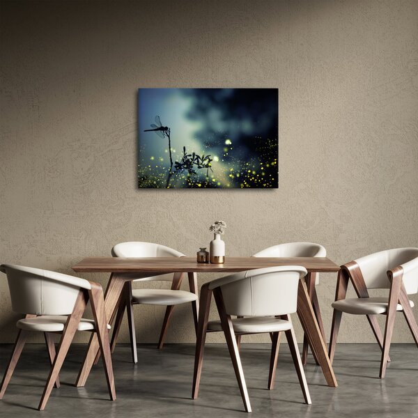 Kép - szitakötő a csillogó éjszakában (70x50 cm)