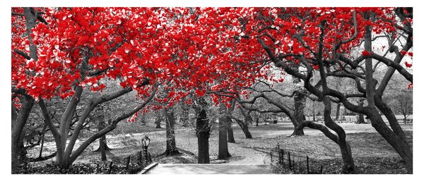 Kép - vörös fák,Central Park, New York (120x50 cm)