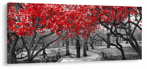 Kép - vörös fák,Central Park, New York (120x50 cm)