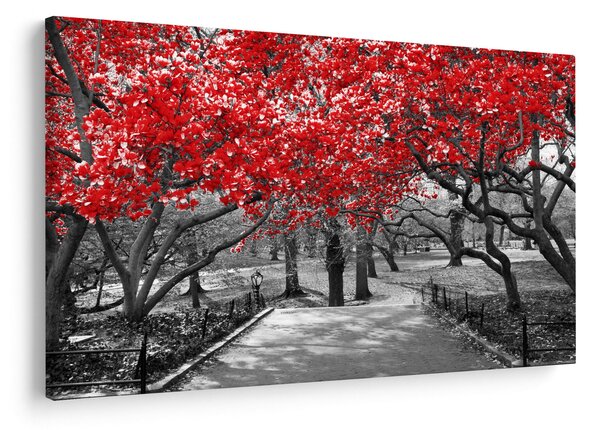 Kép - vörös fák,Central Park, New York (90x60 cm)