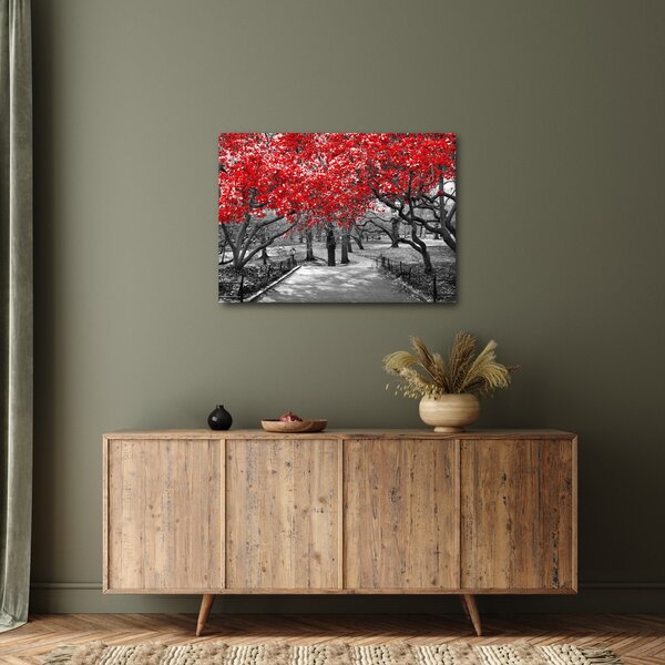 Kép - vörös fák,Central Park, New York (70x50 cm)