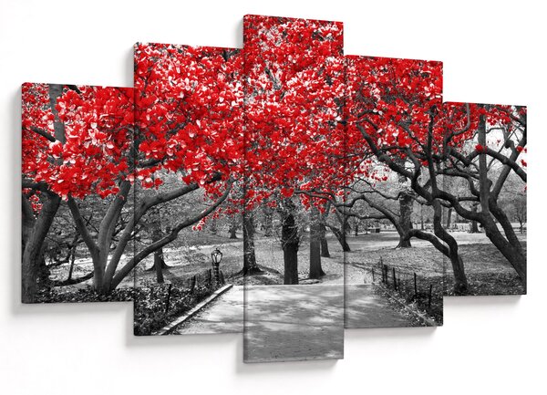 Kép - vörös fák,Central Park, New York (150x105 cm)