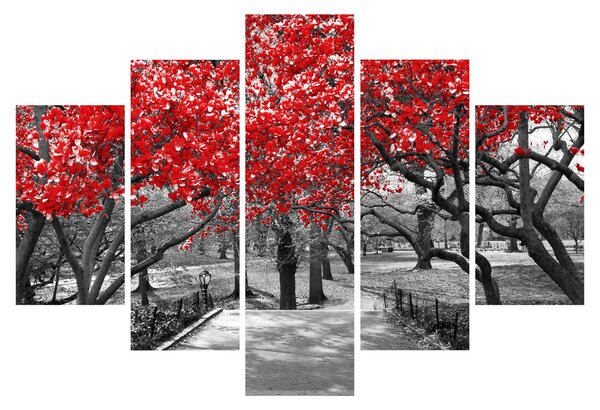 Kép - vörös fák,Central Park, New York (150x105 cm)