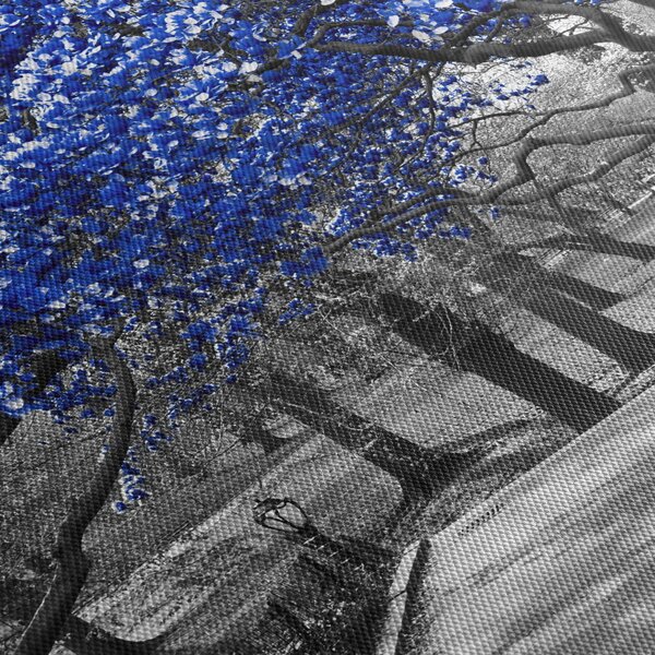 Kép - Kék fák, Central Park, New York (90x60 cm)