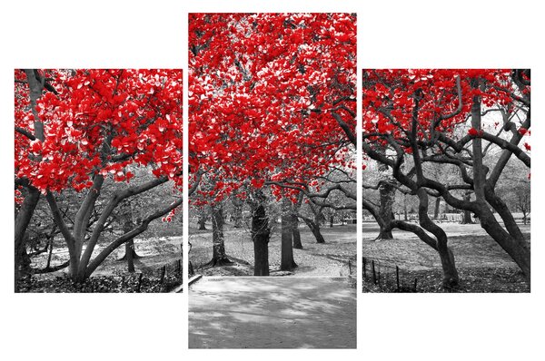 Kép - vörös fák,Central Park, New York (90x60 cm)