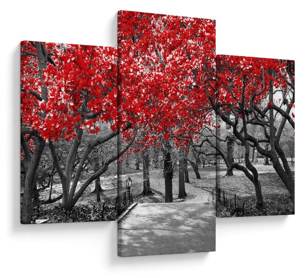 Kép - vörös fák,Central Park, New York (90x60 cm)