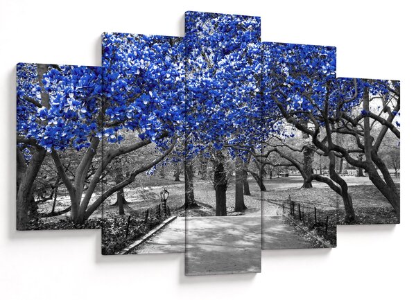 Kép - Kék fák, Central Park, New York (150x105 cm)