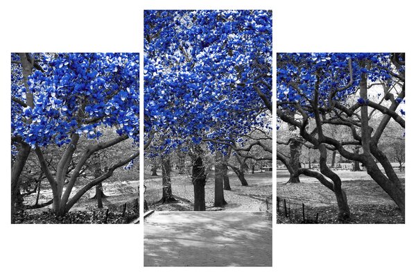 Kép - Kék fák, Central Park, New York (90x60 cm)