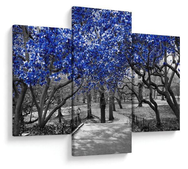 Kép - Kék fák, Central Park, New York (90x60 cm)