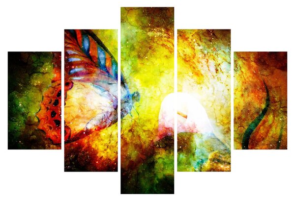 Kép - Kozmikus pillangó (150x105 cm)