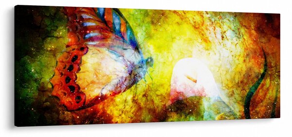 Kép - Kozmikus pillangó (120x50 cm)