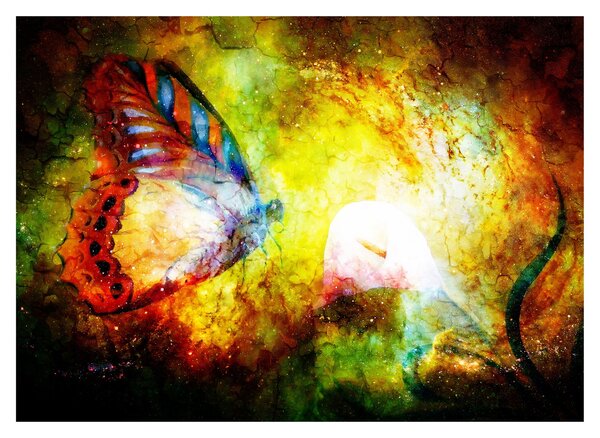 Kép - Kozmikus pillangó (70x50 cm)