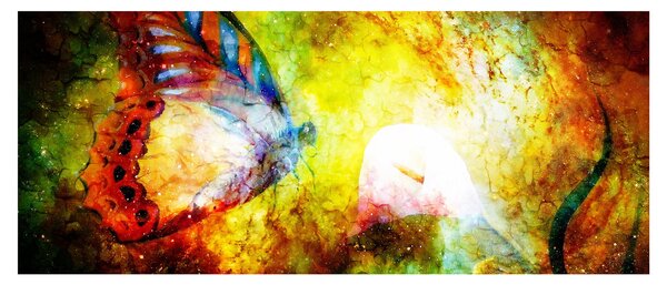 Kép - Kozmikus pillangó (120x50 cm)