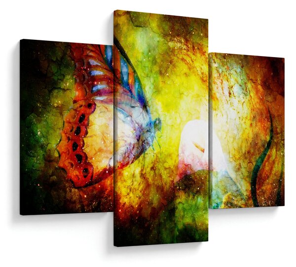 Kép - Kozmikus pillangó (90x60 cm)