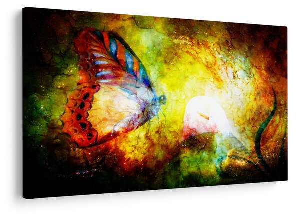 Kép - Kozmikus pillangó (90x60 cm)