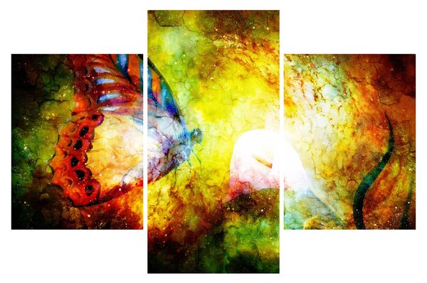 Kép - Kozmikus pillangó (90x60 cm)