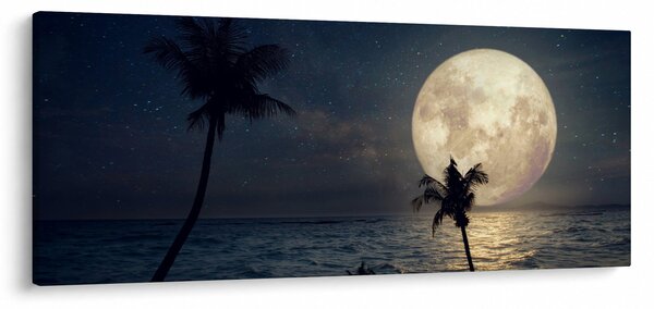 Kép - Strand telihold alatt (120x50 cm)