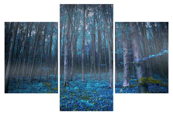 Kép - varázslatos erdő (90x60 cm)