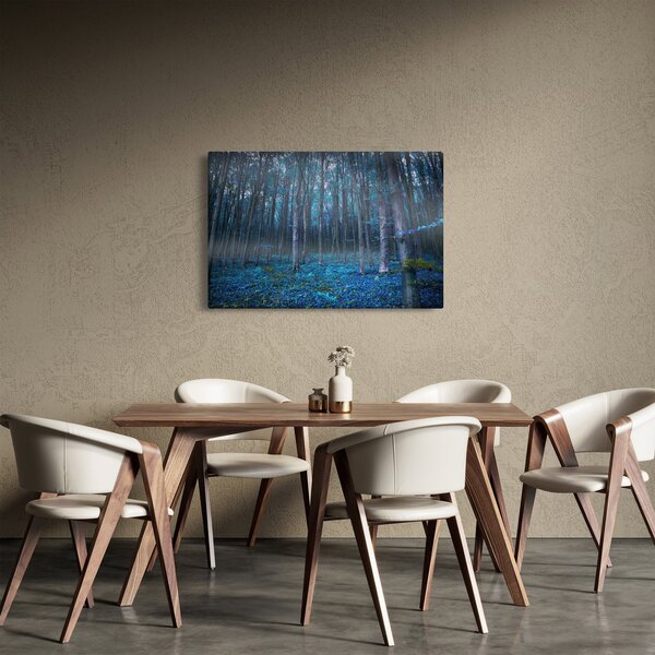 Kép - varázslatos erdő (90x60 cm)