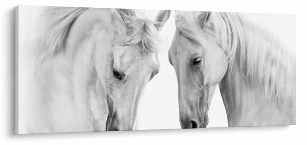 Fehér lovak képe (120x50 cm)