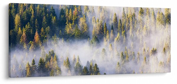Fák képe a ködben (120x50 cm)