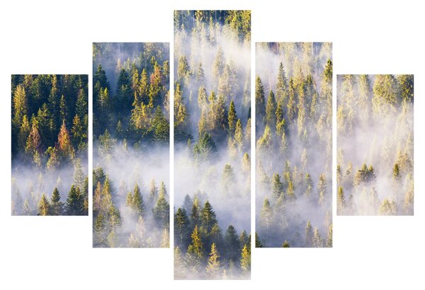 Fák képe a ködben (150x105 cm)