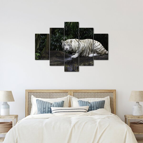 Kép - albínó tigris (150x105 cm)