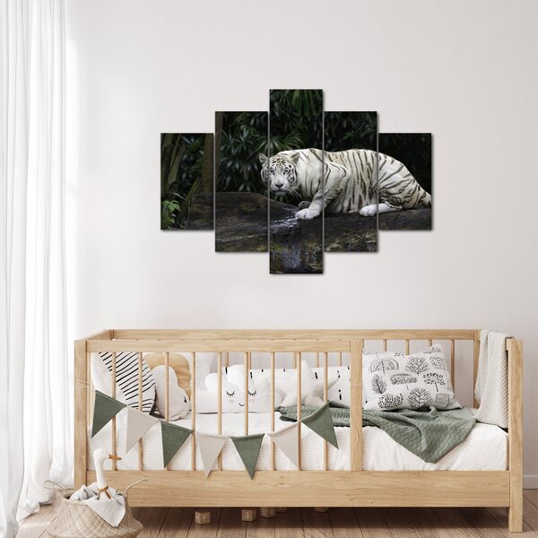 Kép - albínó tigris (150x105 cm)