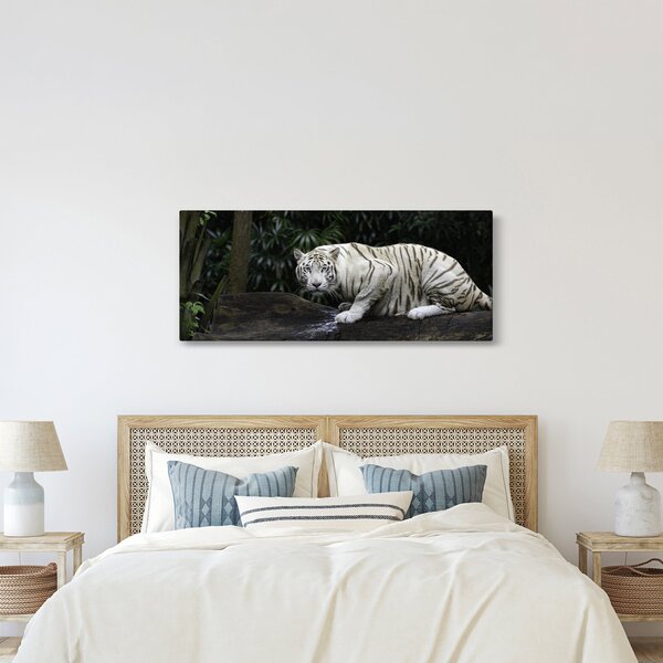 Kép - albínó tigris (120x50 cm)