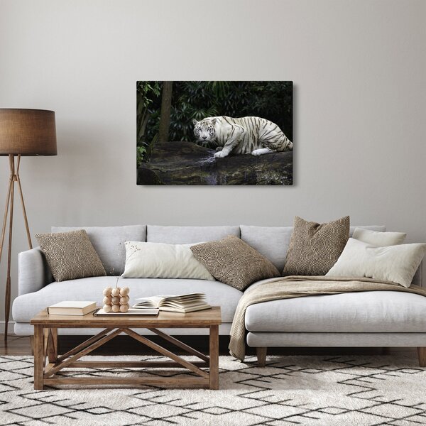 Kép - albínó tigris (90x60 cm)
