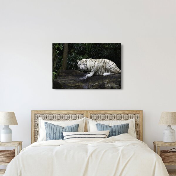 Kép - albínó tigris (90x60 cm)