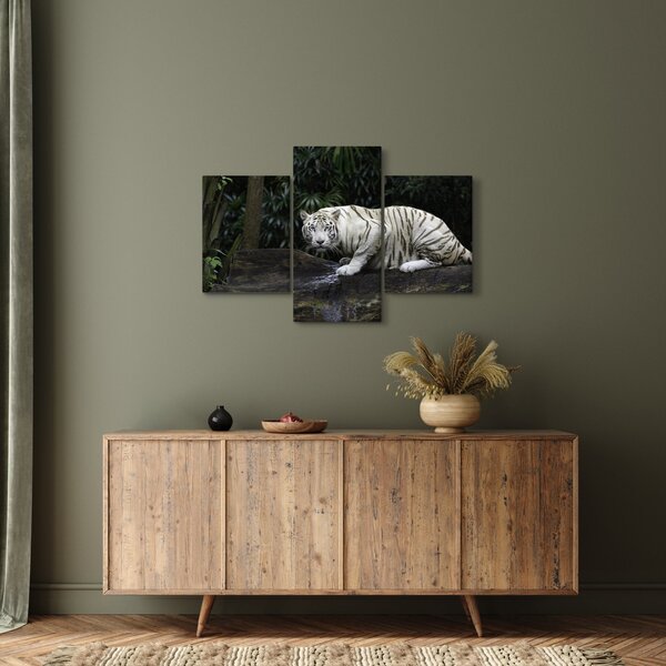 Kép - albínó tigris (90x60 cm)