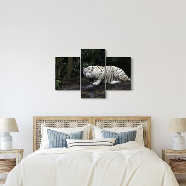 Kép - albínó tigris (90x60 cm)