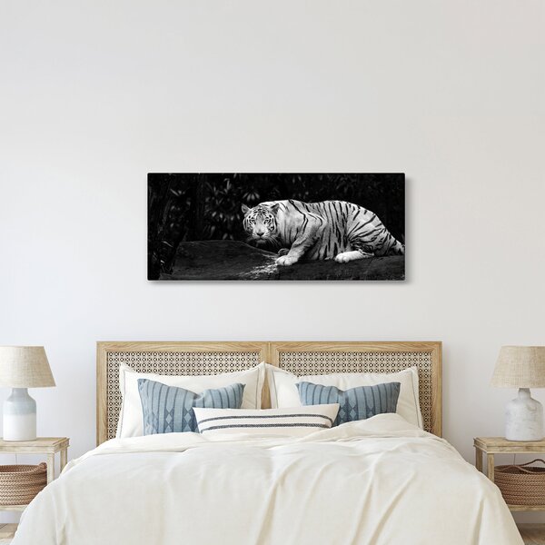 Kép - albínó tigris, fekete-fehér (120x50 cm)