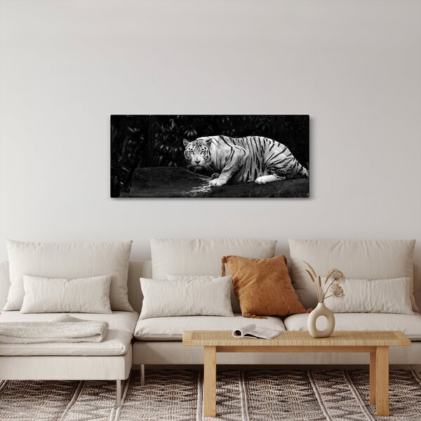 Kép - albínó tigris, fekete-fehér (120x50 cm)