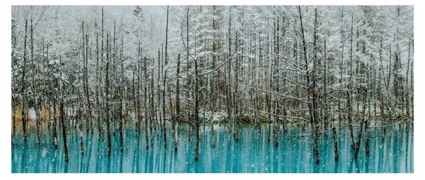 Kép - Türkiz tó, Biei, Japán (120x50 cm)