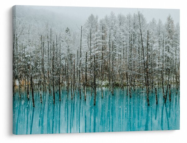Kép - Türkiz tó, Biei, Japán (70x50 cm)