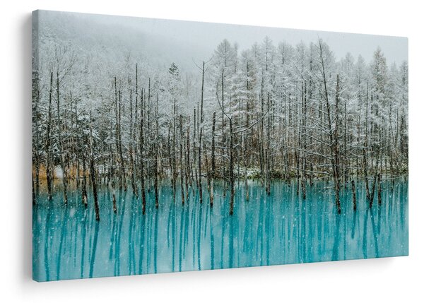 Kép - Türkiz tó, Biei, Japán (90x60 cm)