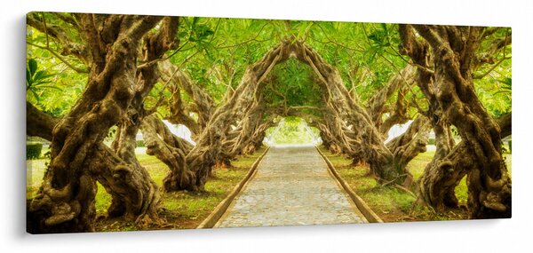 Kép - Plumeria élő alagútja (120x50 cm)